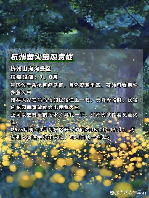 抖音热门旋律揭秘,夏夜萤火下的追光者