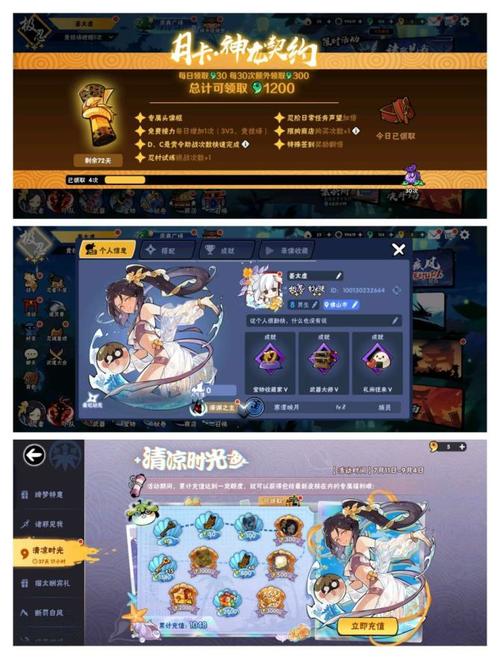 奥拉星手游血无怎么获得,资源管理、高效利用与最大化价值