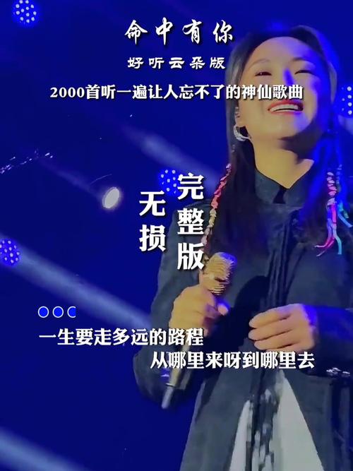 抖音热门旋律揭秘,一听倾心,命中注定的那首歌