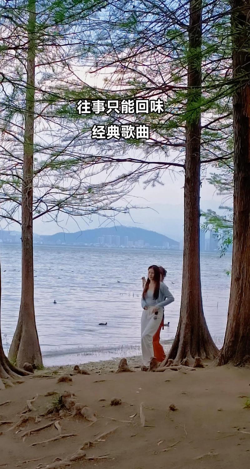 抖音热门旋律揭秘,你就是那么的纯净出自哪首歌?