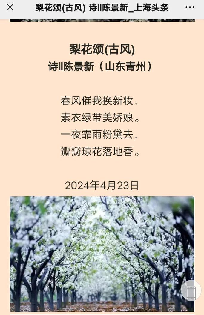 抖音误了梨花花又开什么歌,在资源管理中的奥秘与价值