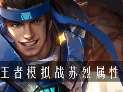 王者模拟战苏烈怎么玩,资源管理、技巧与最大化价值
