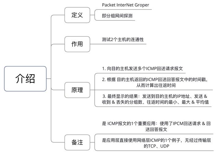 王牌战士怎么用电脑玩,资源管理、高效技巧与避免浪费的全面指南