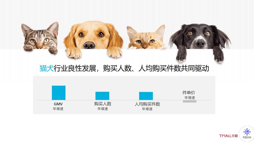 宠物小队大揭秘,同时上阵的宠物数量与策略