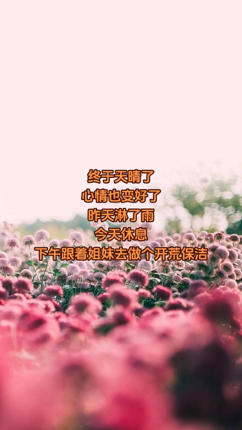 抖音热门BGM揭秘,时间突然变得好安静,是哪首歌在耳边轻响?