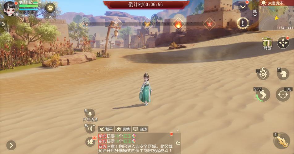 梦幻西游三维版如意仙子技能详解与资源管理优化