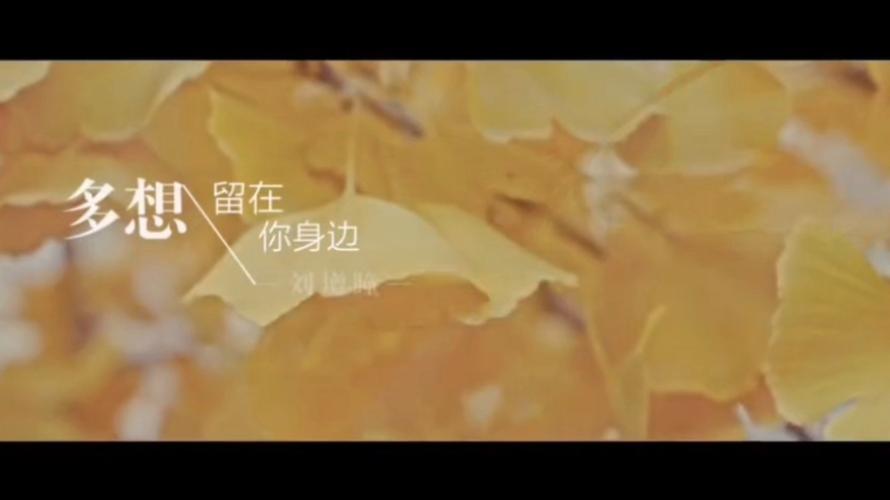多想留在你的身边,是哪首动人情歌?