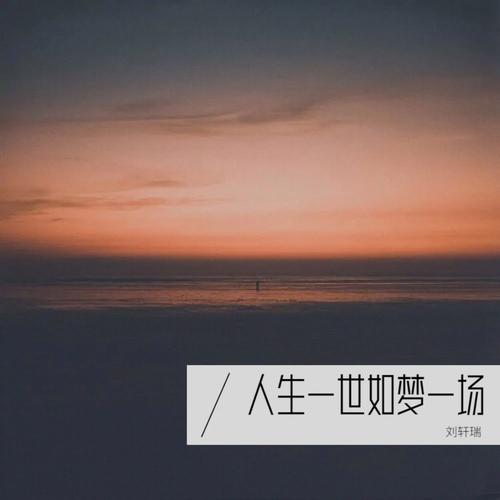 早知道是这样如梦一场是什么歌——从资源管理视角的深度解析
