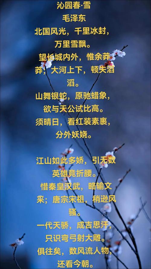 看那江山多娇不如做只飞鸟,这首歌究竟有何魅力?