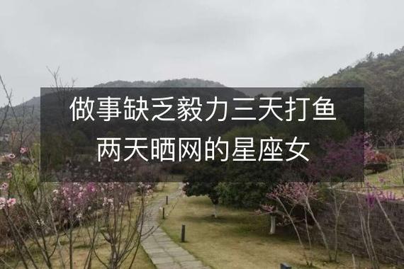 谁天天晒网却不打鱼,资源管理的隐喻与智慧