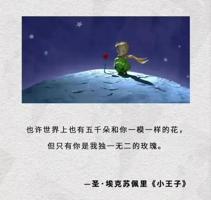 小王子的星球上长了一株什么，资源管理的智慧与策略