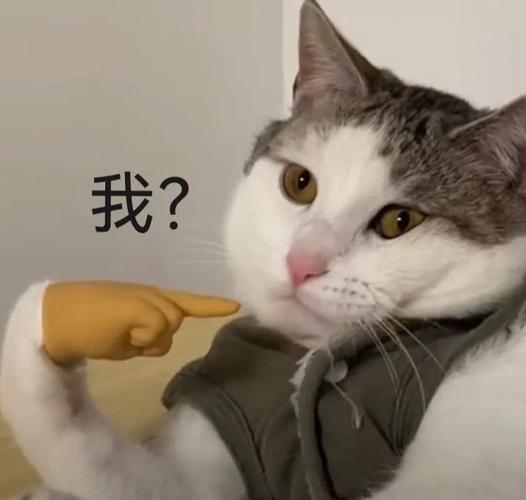 手指绑架表情包,资源管理的新艺术