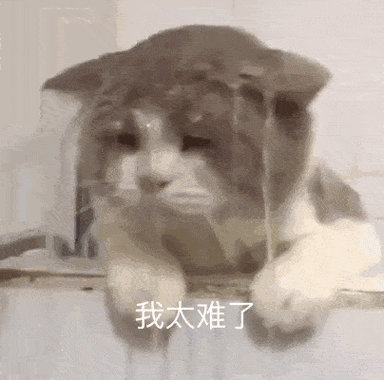 我太难了表情包,资源管理的新视角与实战策略