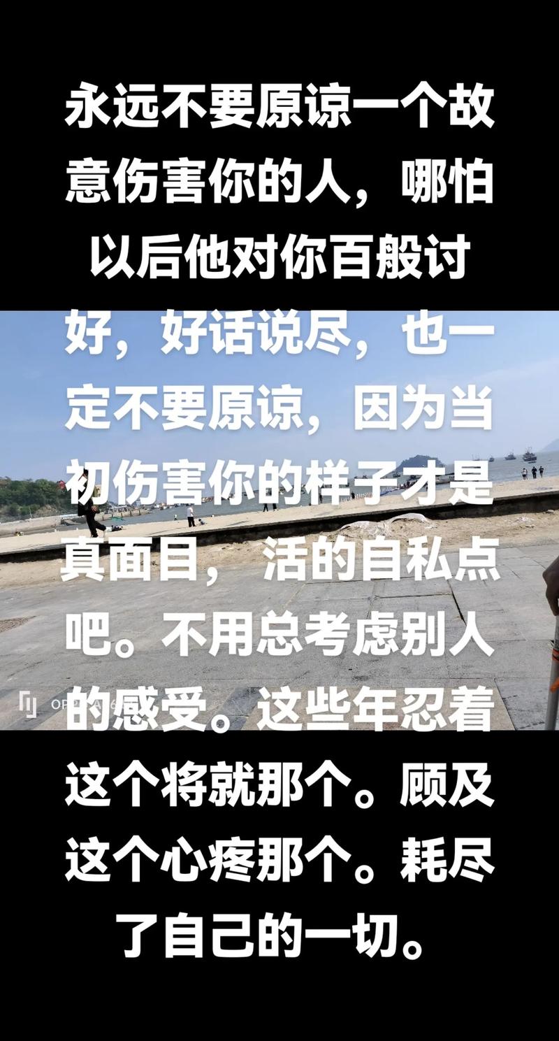 我能原谅你的荒唐,这首歌为何让人动容?