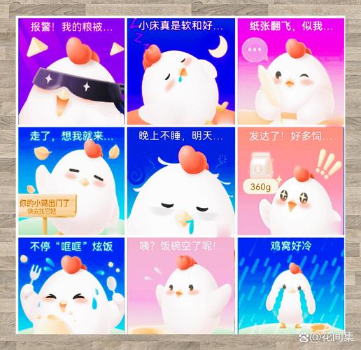 小鸡宝宝考考你,探寻海南的省会之谜