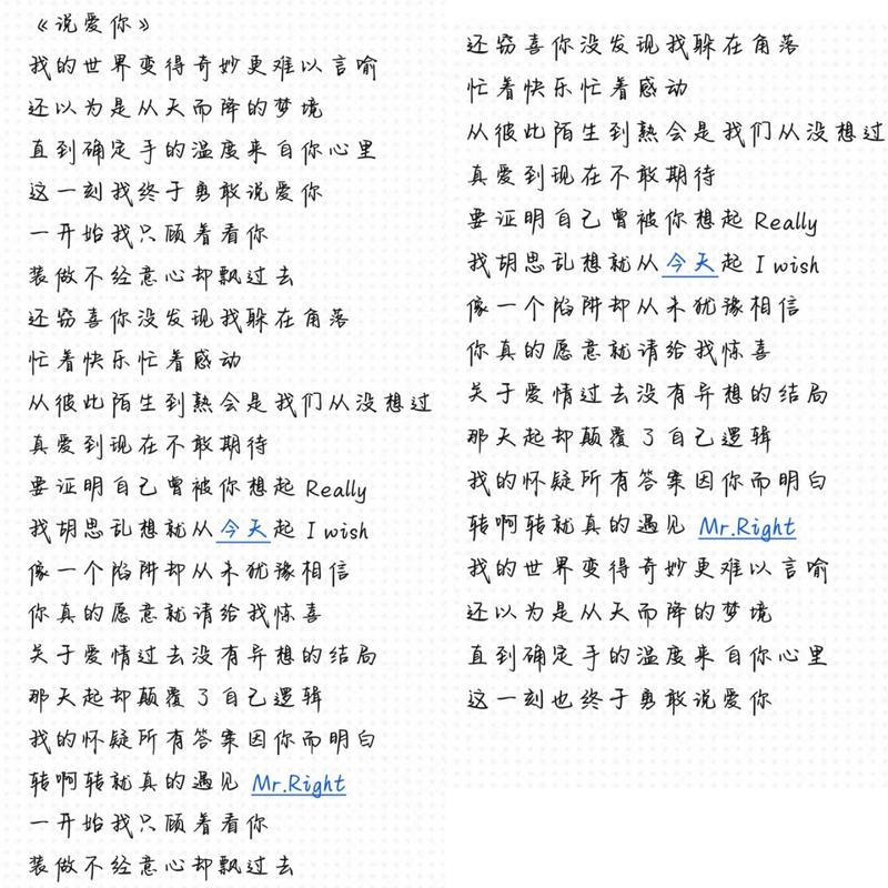 我想说我会爱你多一点点,这句歌词出自哪首经典之作?