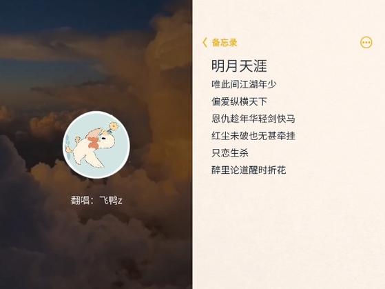 唯此间江湖年少偏爱纵横天下，这句歌词究竟出自何方神圣？