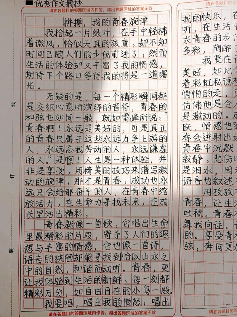 青春旋律的力量,我的青春不为爱而活只为梦想拼搏在资源管理中的启示