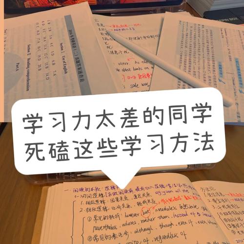 如何高效进行我和子的乱陪读？实用技巧与经验分享，提升学习效果