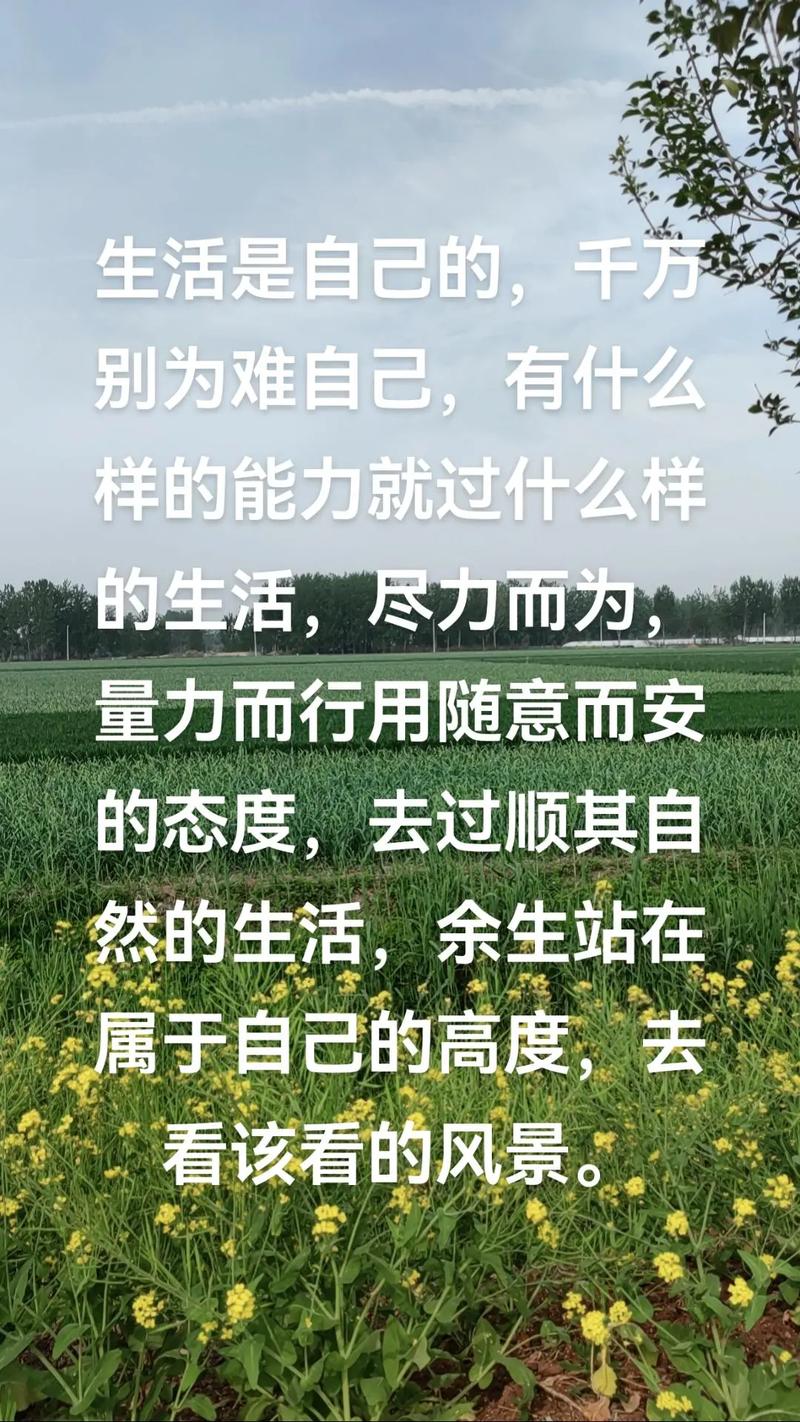 过好自己的生活，该来的都在路上壁纸深度解析