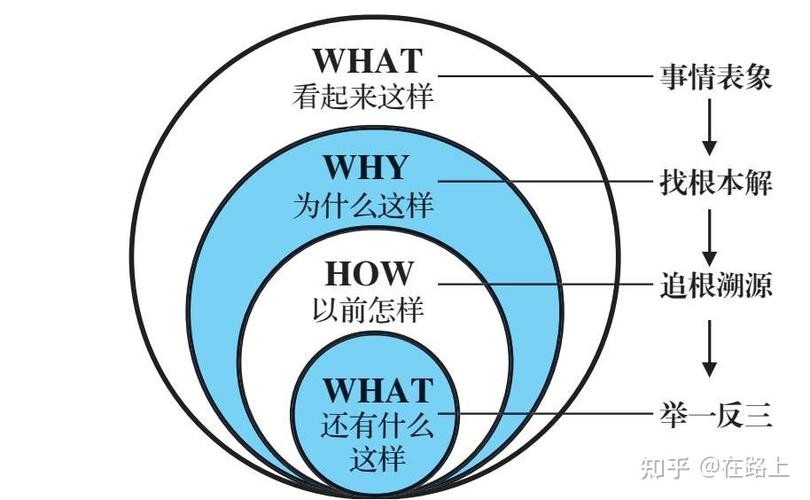 10元种下希望树项目全攻略，底层逻辑与操作映射深度解析