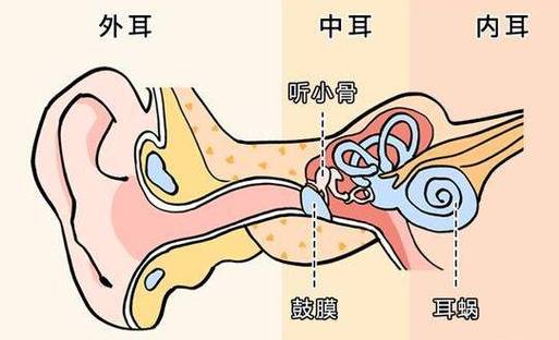 爱心捐赠平台爱的分贝救救耳朵项目演变史专题