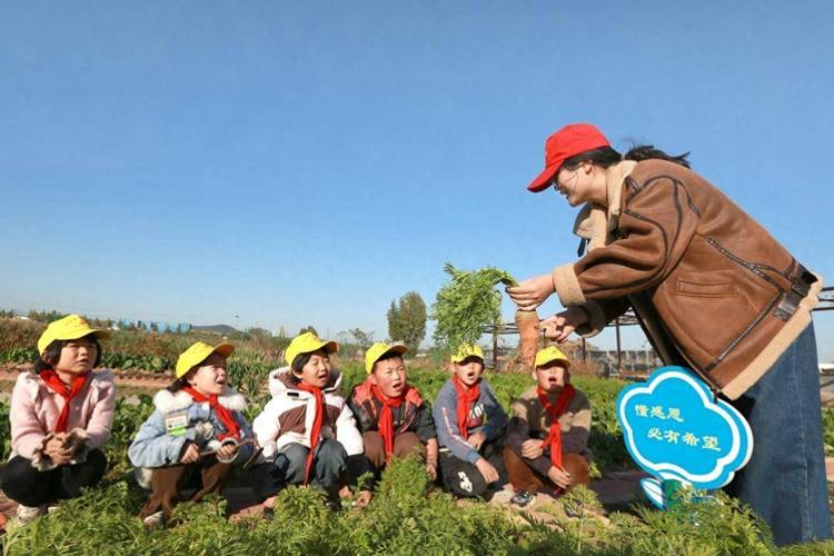 女人和男生拔萝卜技巧大对比|田间劳动实战经验分享,哪种方法更省力高效? (解析:采用对比式结构触发用户好奇心,保留完整关键词女人和男生拔萝卜,通过技巧对比和省力高效突显实用价值,符合百度对农业生活类内容偏好添加田间劳动实战经验增强场景代入感,问句结尾引导点击,共34字满足SEO长度要求且自然融入长尾词)