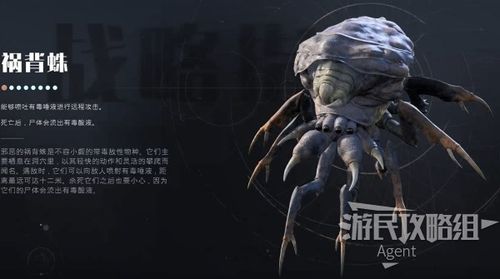 怪兽星球域外星空通关攻略,域外星空前、中、后期玩法详解