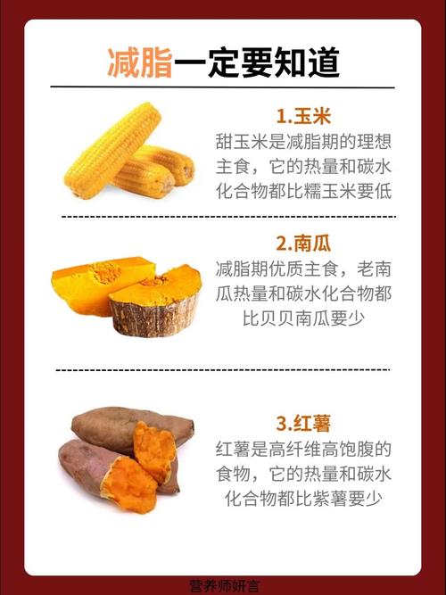 活下去食物怎么种?食物种植及食品合成攻略大全