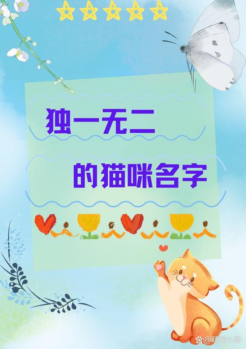 喵与筑猫咪怎么改名字?喵与筑猫咪改名字方法详解