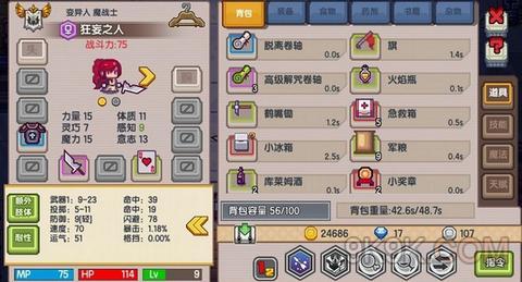 伊洛纳造墙术深度解析,学习地点与全面攻略