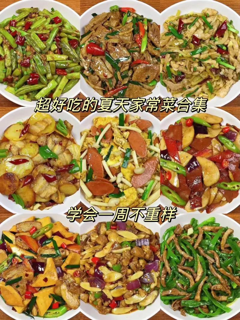 【我的侠客菜肴食谱分享】超实用家常菜谱推荐,厨艺小白也能轻松驾驭!