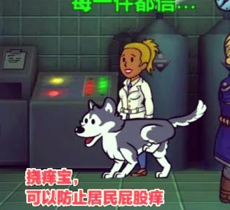 辐射避难所瓶盖党必看!瓶瓶盖盖刷新规律大揭秘