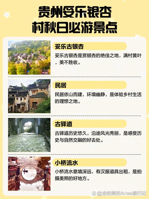 绝美银杏村&山谷位置大揭秘!这份攻略让你打卡不用愁!
