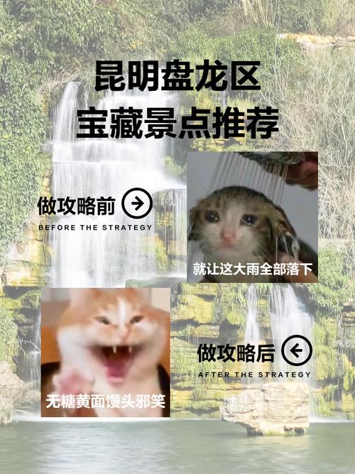 宝藏世界龙台打卡攻略!这5个隐藏技巧让你尖叫!